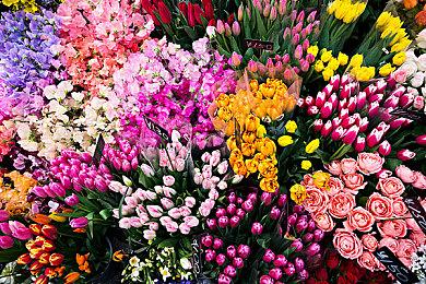 《使命召唤 战区2》什么时候上线，在哪下载问题一览