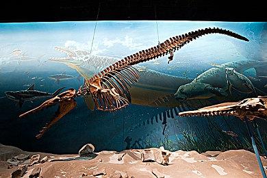 《酒店建筑师》纽约地图重大更新现已推出！